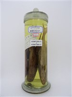 藏品(褐籃子魚)的圖片